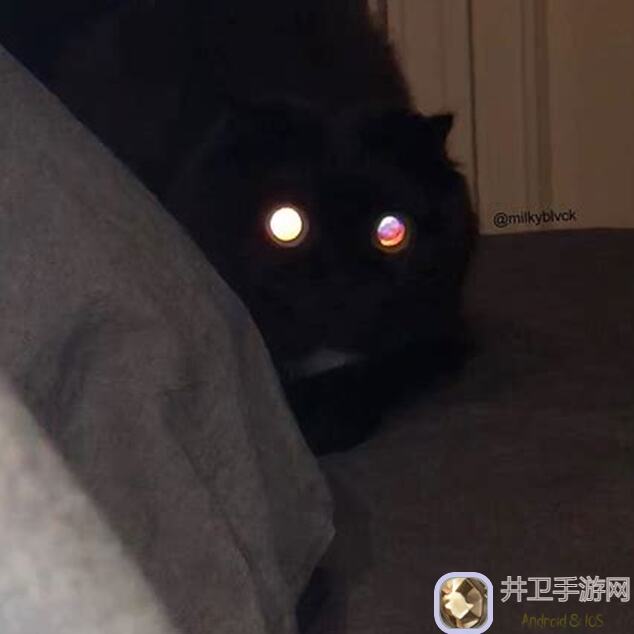 异世界勇者鱼人爵士怎么搭配？机制解析与职业匹配度全揭晓！