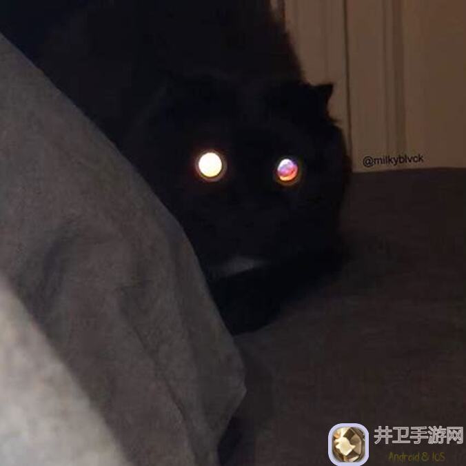 异世轮回录:揭秘猎人早死的阴谋论,你真的了解真相吗?